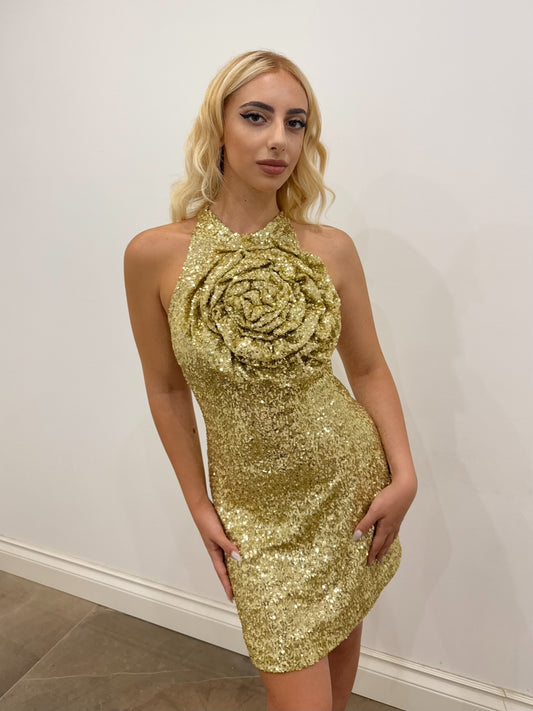GOLDEN ROSE SHORT DRESS